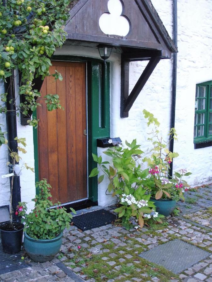 Bed and Breakfast The Clochfaen Llangurig Exterior foto