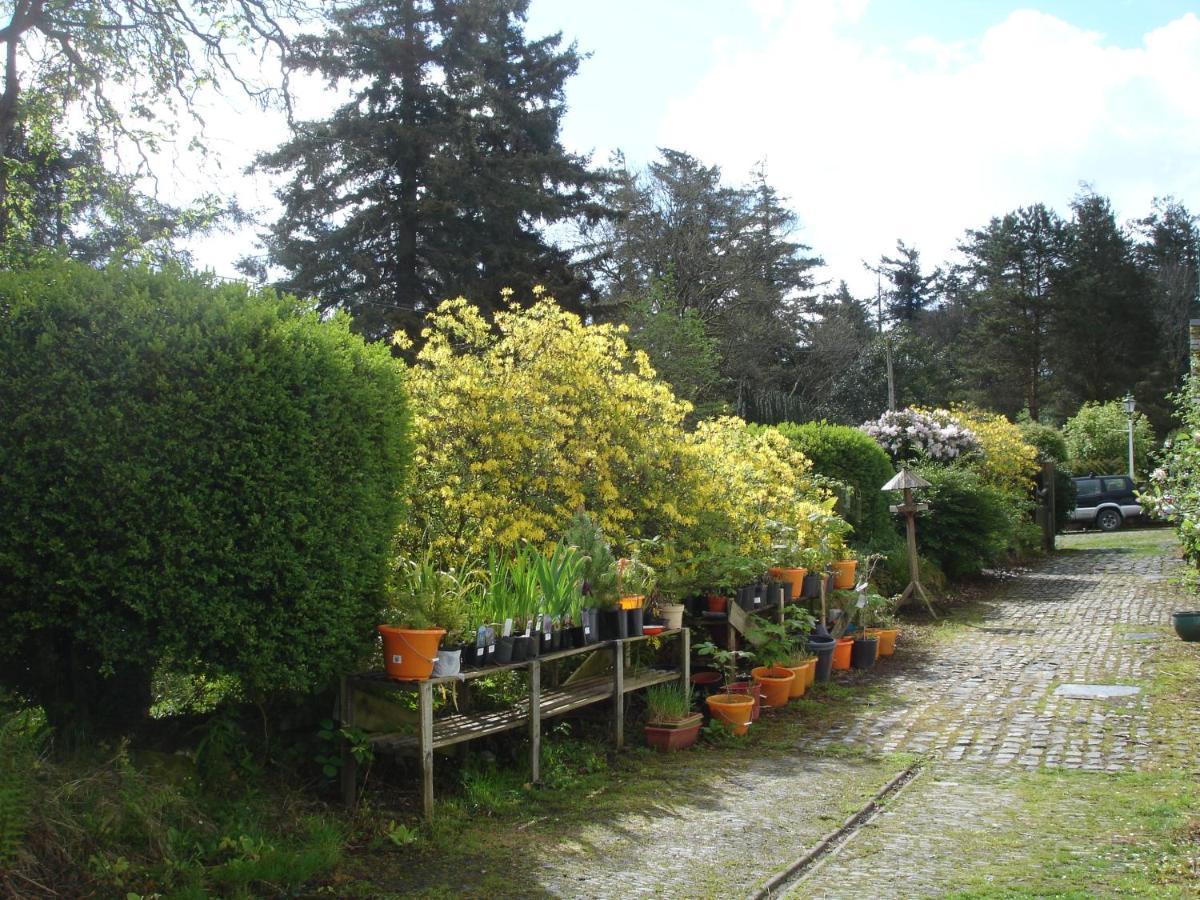 Bed and Breakfast The Clochfaen Llangurig Exterior foto
