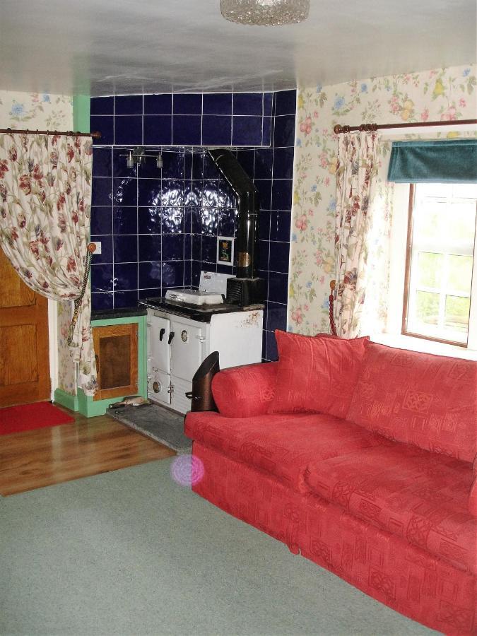 Bed and Breakfast The Clochfaen Llangurig Exterior foto